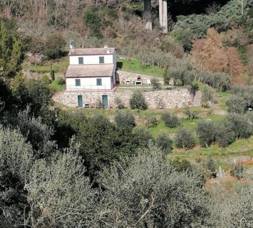 Villa Teca & Succo - Nature E Relax Σέστρι Λεβάντε Εξωτερικό φωτογραφία